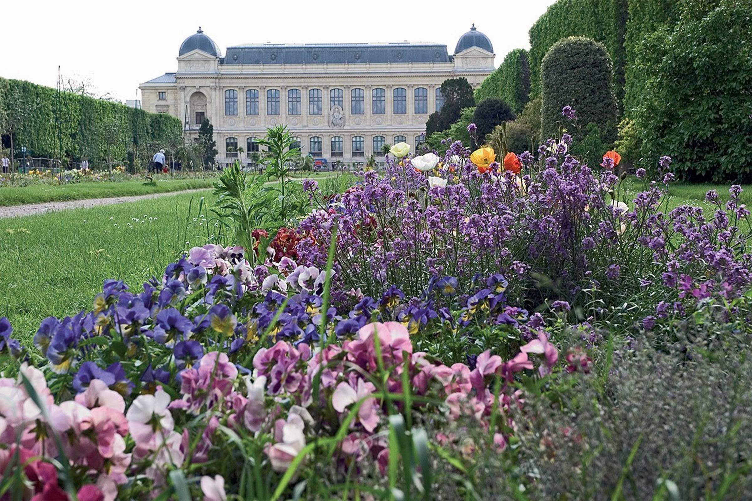 Готель Libertel Austerlitz Jardin Des Plantes Париж Екстер'єр фото